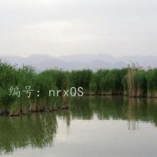 Բ