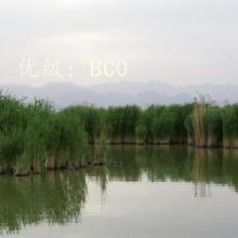 ǧ