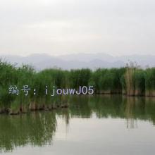Բ