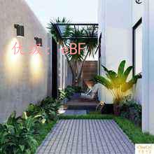 ׶